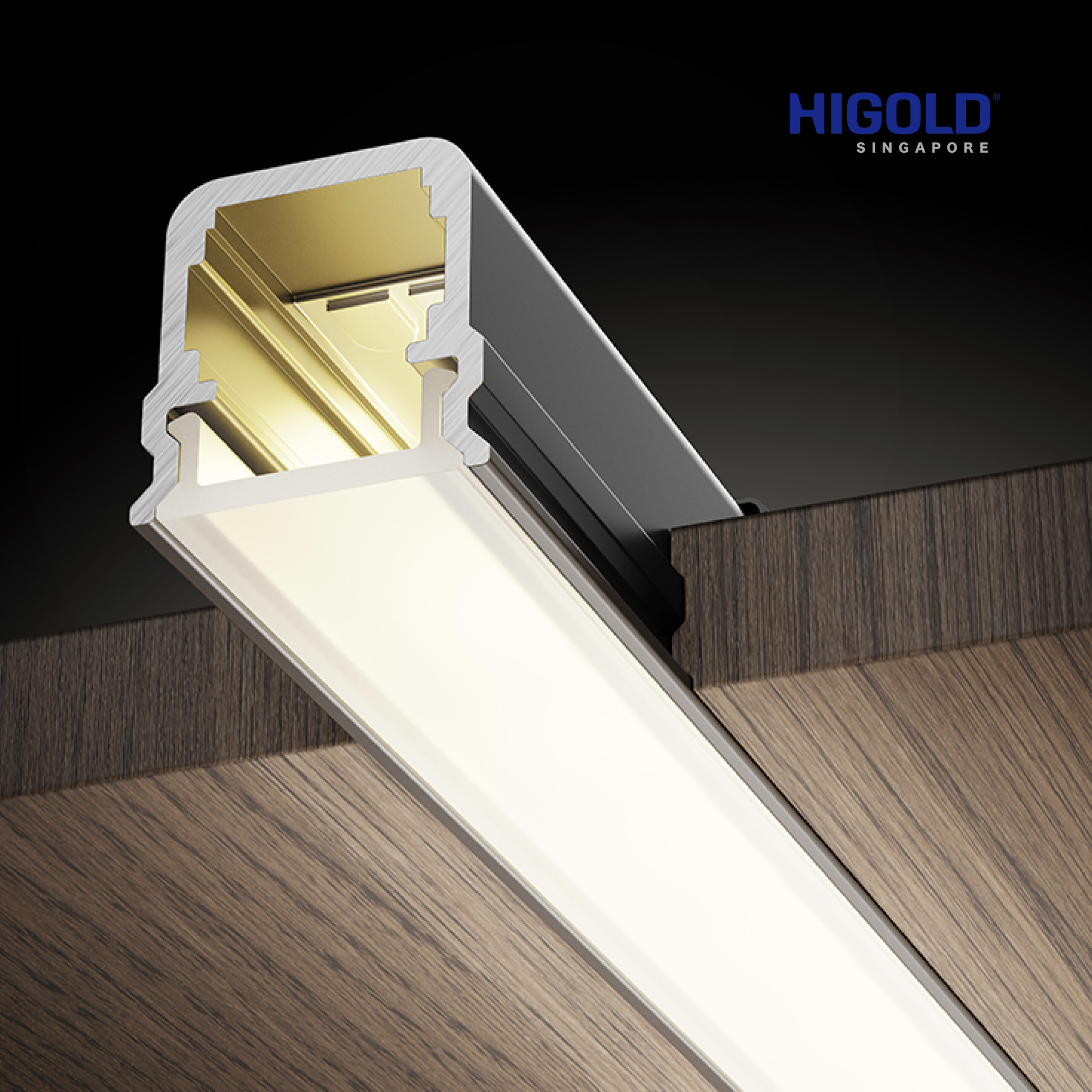 HIGOLD X1 Pro Direct LED Strip (include casing and LED Strip/Free Cutting/4000K) - Image 2
