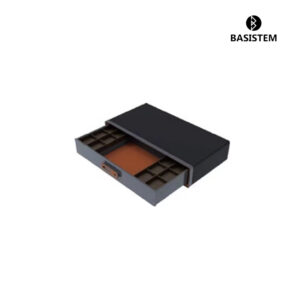 BASISTEM  Zug Private Fingerprint Safe